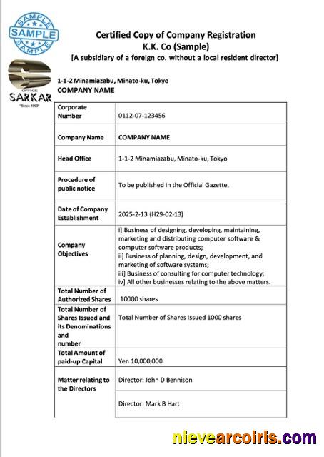 Japan company registration, version 2